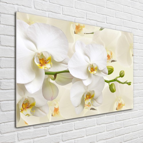 Acrylglas bild wandbilder - acrylglas-bild,