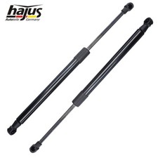 2x Hajus Heckklappendämpfer