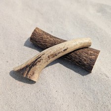 2 Stück 10-15 cm Rothirschgeweihe - Krone Gehörn Geweihstange Deko Geweihspitze