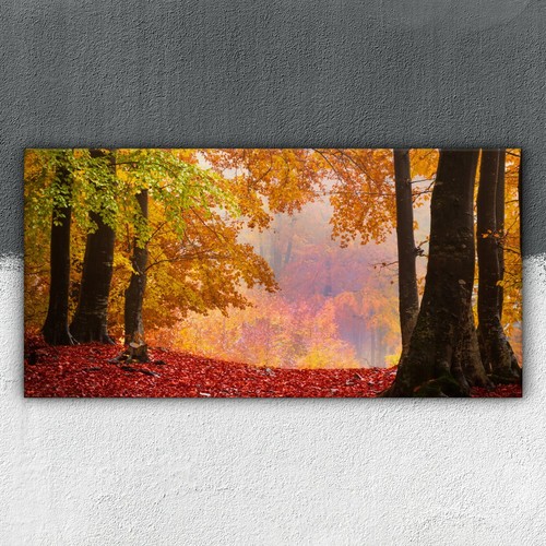 Nebliger misten wald herbst - nebliger,