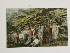 AK Finca Chorrera Panama nach Mittweida Sachsen von 1913