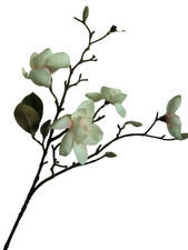 Magnolienzweig künstlich •