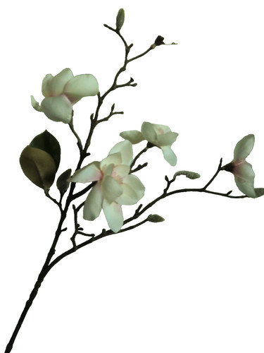 Magnolienzweig künstlich - , •