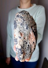 Dinosaurier Oviraptor Ei 14 cm