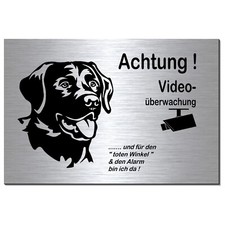 Hund-Labrador-Retriever-Video-