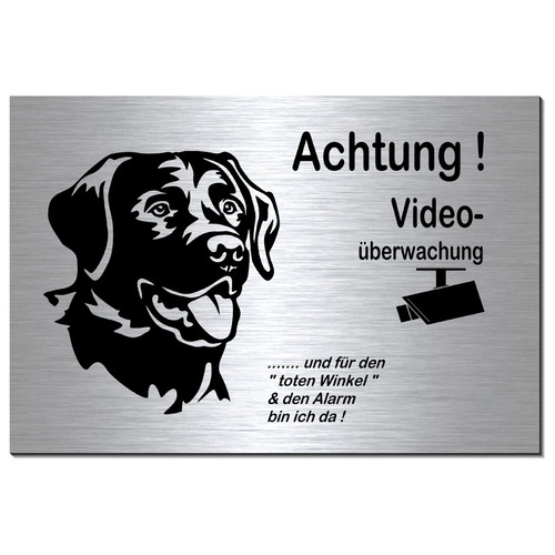 Hund-Labrador-Retriever-Video-