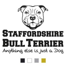 Staffordshire Bullterrier