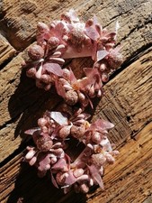 2x Kerzenring Kerzenkranz für