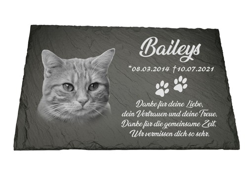 Grabstein für hund - hund, katze