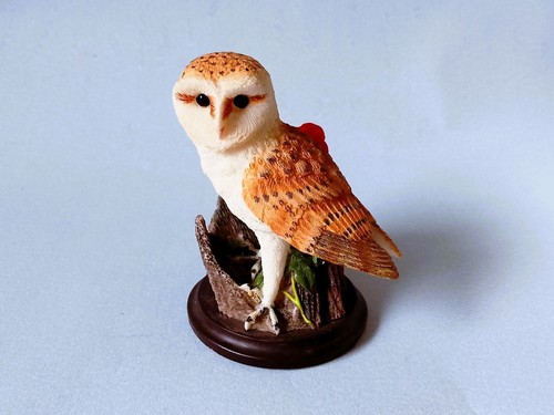 Vogelwelt collection andy - collection,