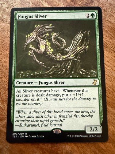 Pilzremasuri fungus sliver - fungus,