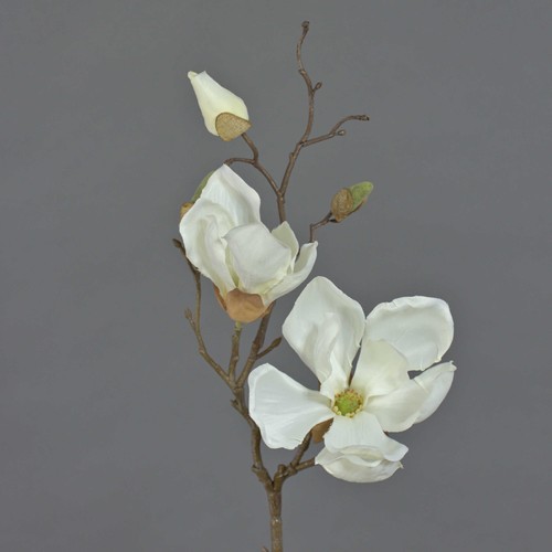 Artplants deko zweig magnolien - zweig,
