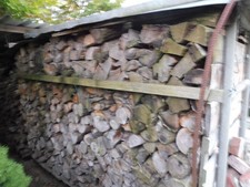 Brennholz Eiche Ofenfertig