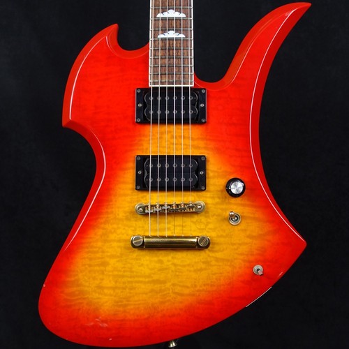 Burny 85x hide - hide, signature