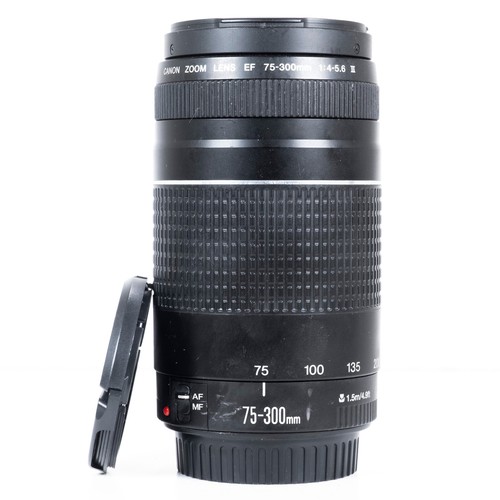 Canon 300mm 5 - canon, f/4.0-5.6