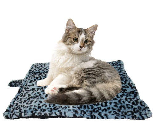 Empress cat katzendecke - cat,