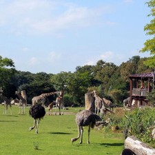 Leipzig Kurzurlaub 4* Atlanta