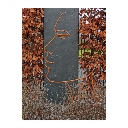 Schatten gesicht frau metall - schatten-gesicht, frau,