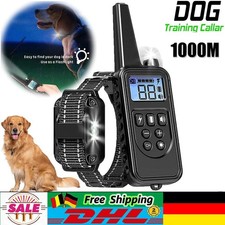 1000M Hund Ausbildung