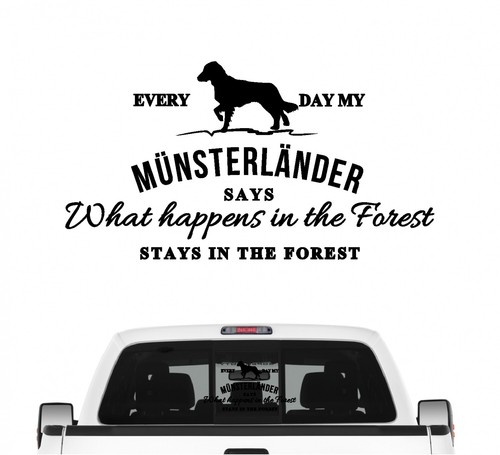 Münsterländer vintage - münsterländer,