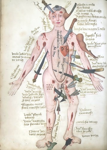 Anatomische illustrationen - anatomische, 15