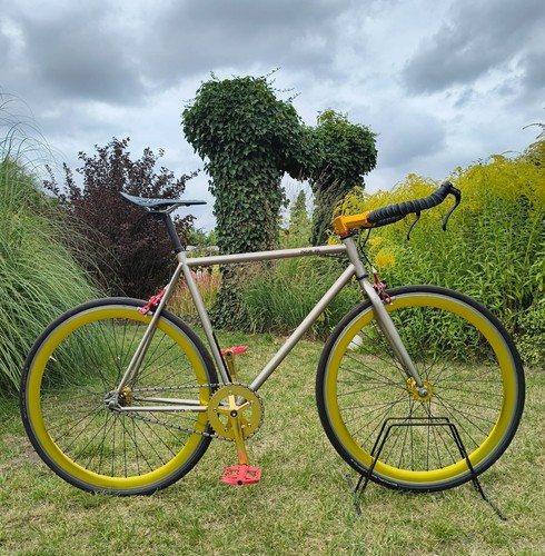 Customized singlespeed fixie - singlespeed,