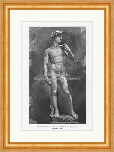 David colossalstatue marmor - david.,