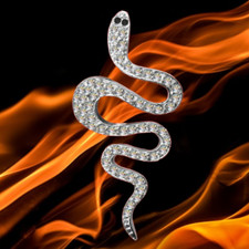 NEU Exklusiver Schlangen