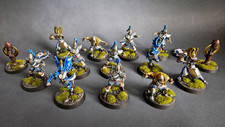 Blood Bowl High Elv Hochelfen
