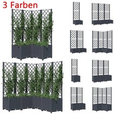 2025 Rankgitter Blumenkasten