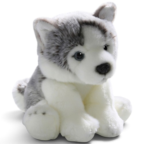 Carl dick husky - carl, 22cm