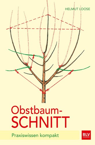 Obstbaumschnitt praxiswissen - obstbaumschnitt,