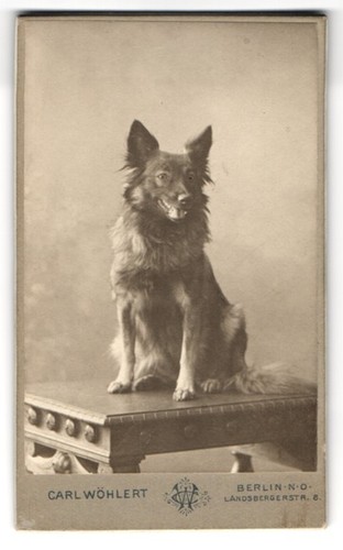 Fotografie carl wöhlert - fotografie,