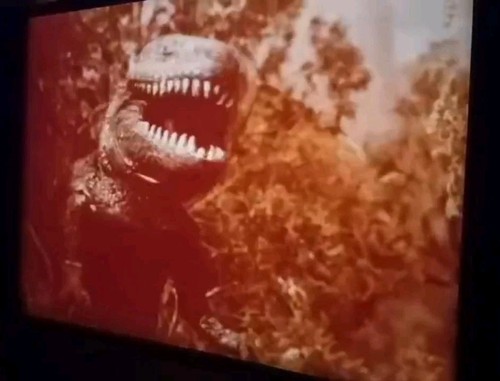 Super8 caprona das - "caprona-,