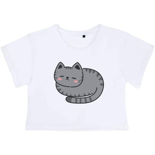 Sleeping gray cat kawaii - cat,