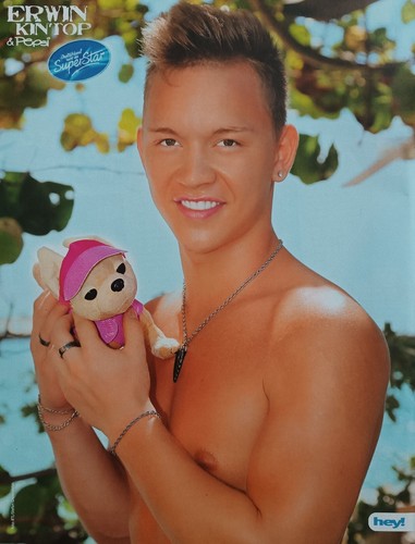 Erwin kintop a4 poster - -,
