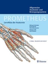 Lernatlas der Anatomie