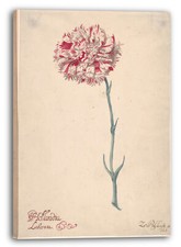 Kunstdruck Zacharias Blijhooft