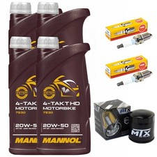 Inspektion Ölfilter Öl 4L