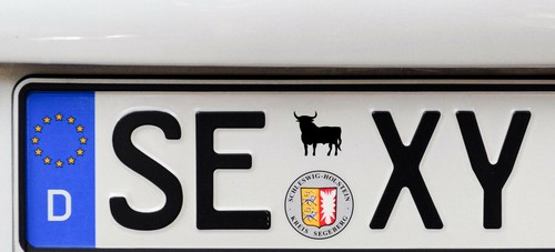 Nummernschild stier - 2x,
