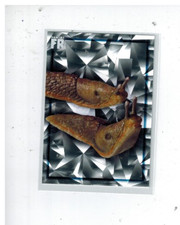 Panini Harry Potter Evolution