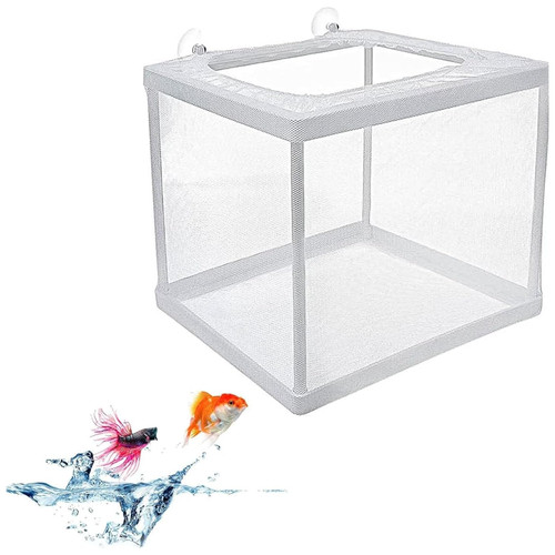 Aquarium brutkasten zuchttank - aquarium,
