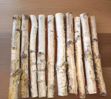 Birkenäste  10 Stück  🔝