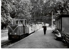 Postkarte Halle / Saale-