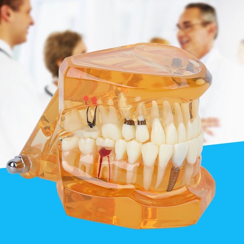 Dental zahnarzt zahntechnik - dental,