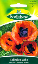 Türkischer Mohn Brillant -