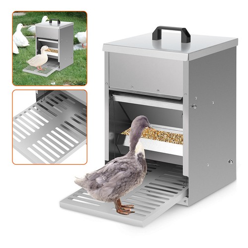 Futterautomat hühner