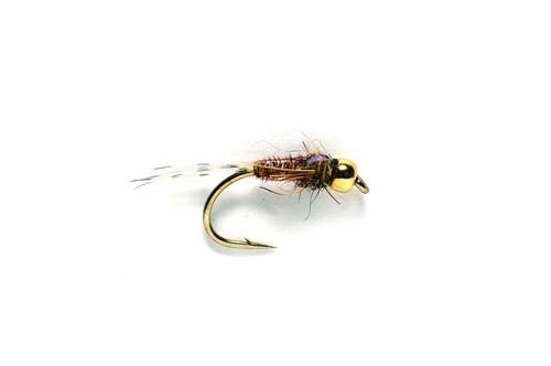 Pheasant tail flashback fliege - tail,