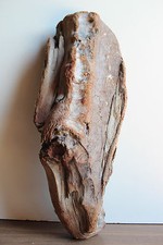 Treibholz Schwemmholz 1 knorrige   Skulptur, Floristik, Garten, Basteln,Deko 