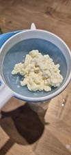 Milchkefir-Knollen Einfache
